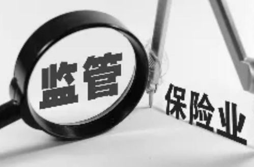 保險資產(chǎn)管理公司的資產(chǎn)管理 角色、挑戰(zhàn)與發(fā)展趨勢